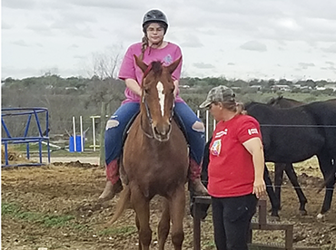 Equine Therapy at Timber Hill Farm